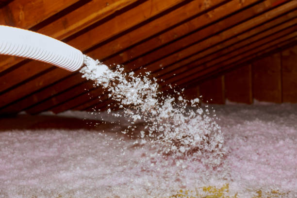 Best Residential Insulation in Echelon, NJ